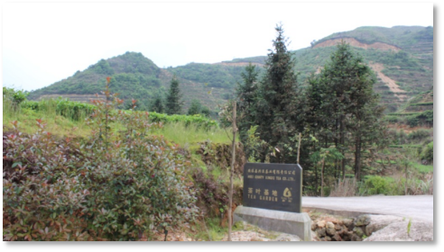图片1.png 图片1.png