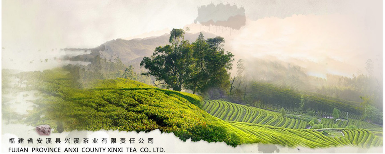 FUJIAN PROVINCE ANXI COUNTY XINGXI TEA CO., LTD.